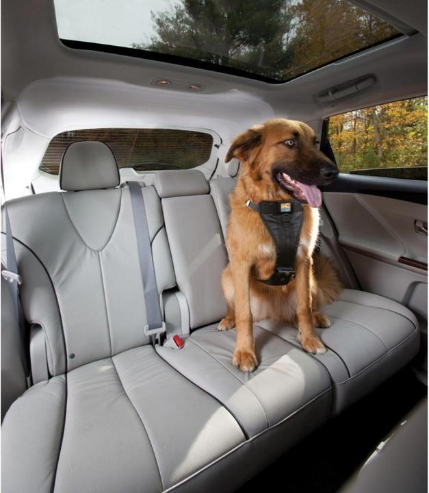 Actual product image Kurgo Car seat belt (XS, Dog, General)