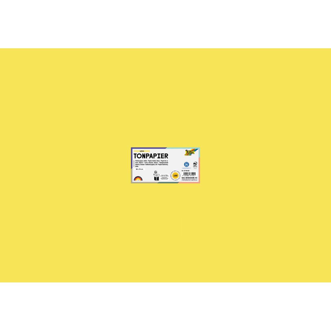Thumbnail - Folia, Bastelpapier, Tonpapier, (B)500 x (H)700 mm, 130 g/qm, zitronengelb (130 g/m², 10 x)