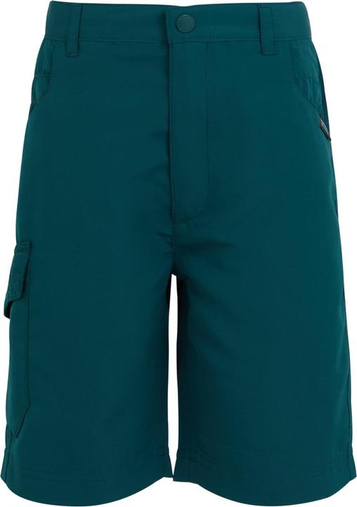 Actual product image Regatta Childrens/Kids Sorcer II Shorts (140)