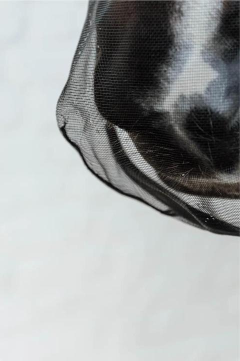 Produktbild Kentucky Horsewear Fliegenmaske für Pferde