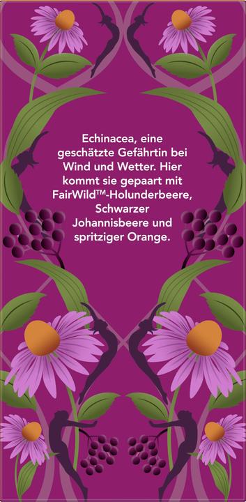 Produktbild Pukka Holunderbeere & Echinacea (40 g)