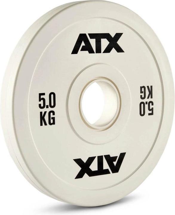 Actual product image IFS Hantelscheibe Fractional rubber Plate