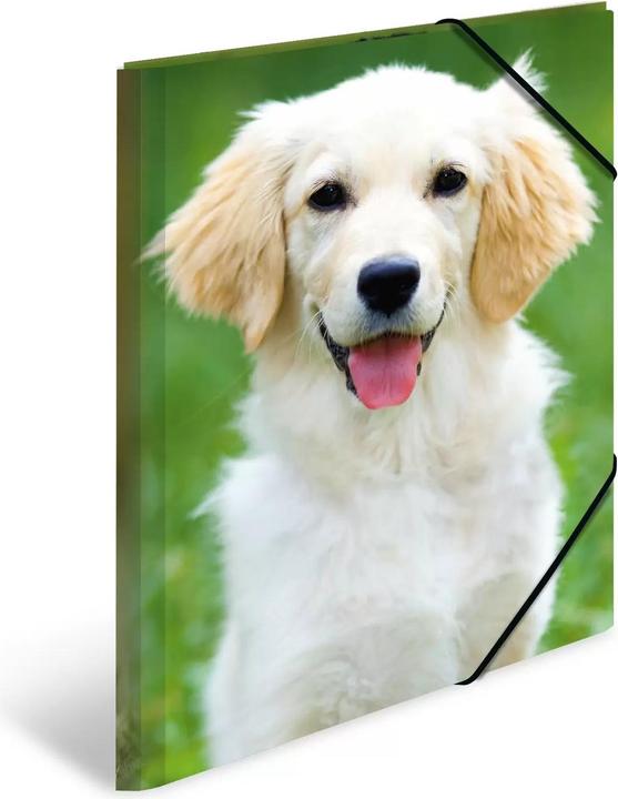 Actual product image HERMA A3 motif folder (A3, 1 x)