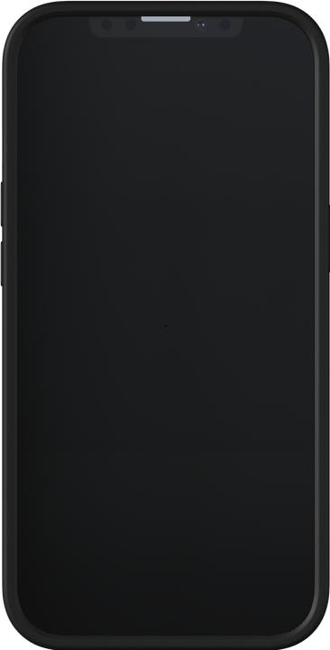 Produktbild Richmond & Finch Blue Leopard (Apple iPhone 13 Pro)