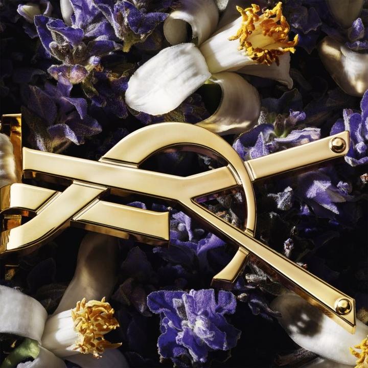 Image du produit Yves Saint Laurent Libre (Eau de parfum, 100 ml)