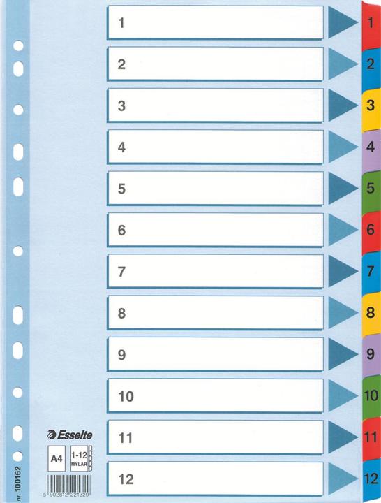 Immagine prodotto Esselte Mylar