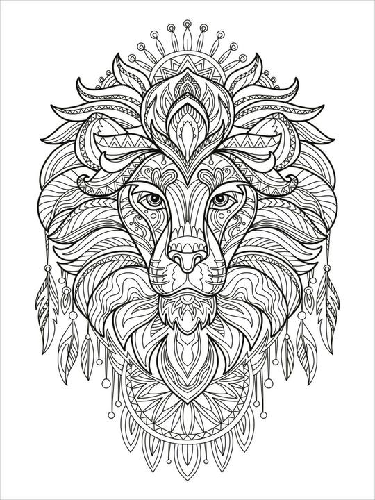Actual product image My Mandala Animal Colouring Book - Magical Magic Animals