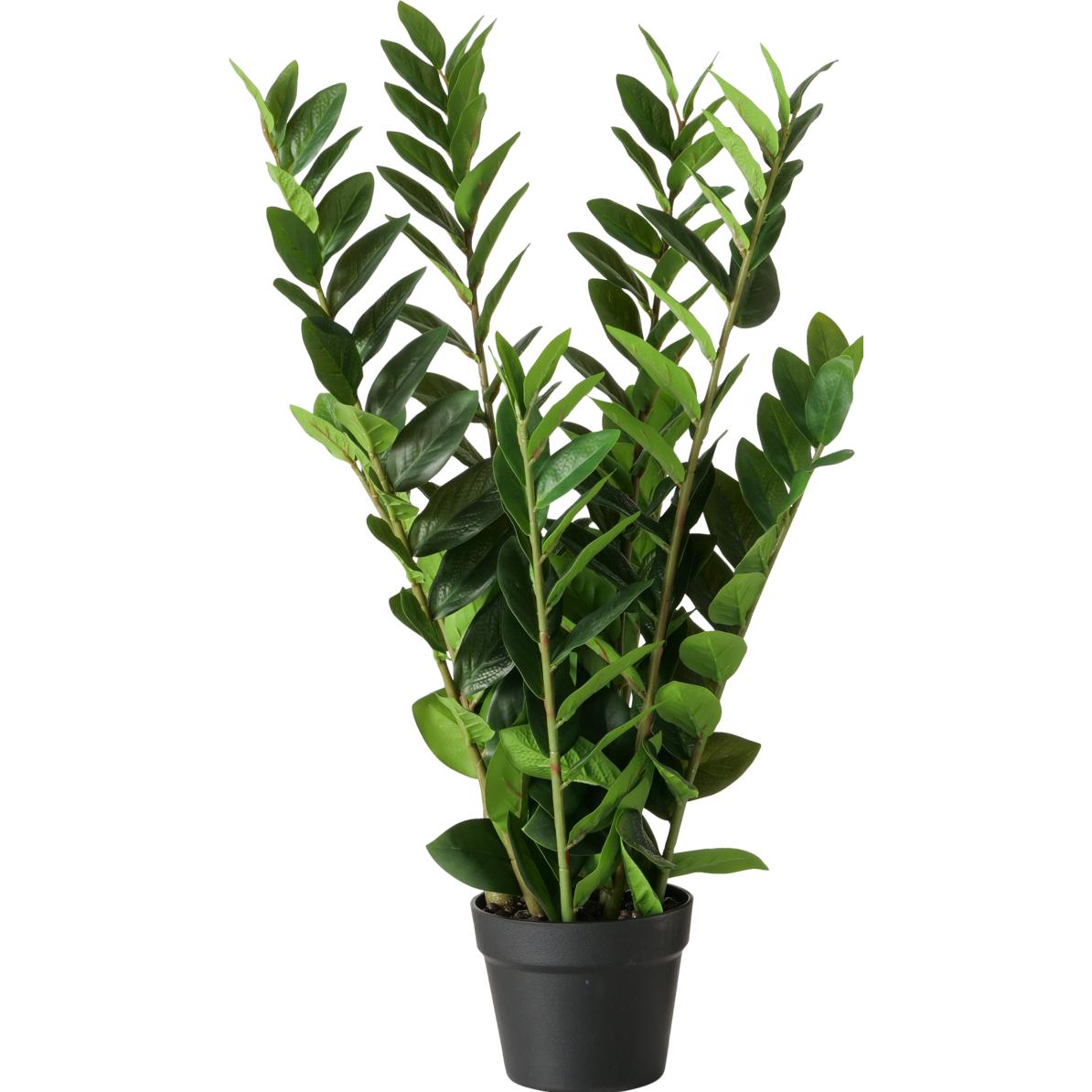 Boltze Home Zamioculcas (76 cm) (2043808)