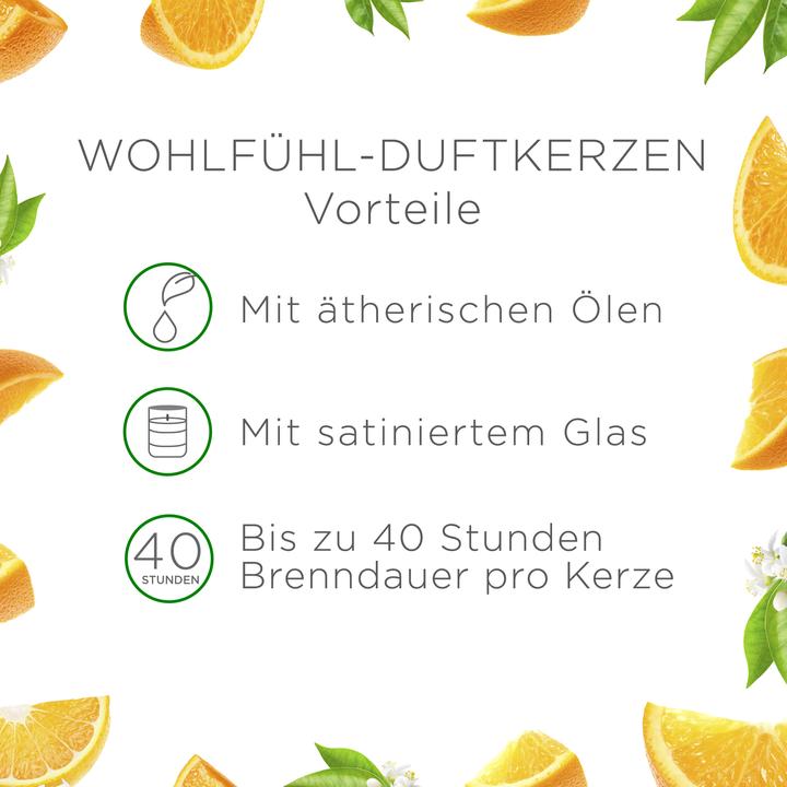 Image du produit Air Wick Grande bougie parfumée bien-être Citrus (220 g)
