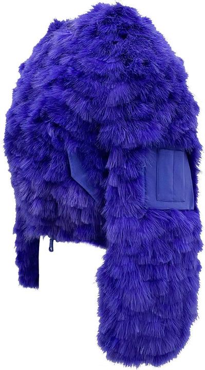 Produktbild Dsquared2 Feathers Bomber Jacket (40)