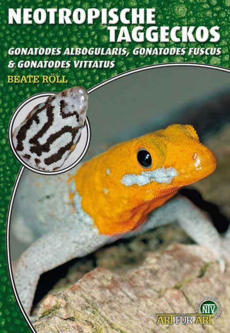 Produktbild Neotropische Taggeckos (Deutsch, Beate Röl, 2009)