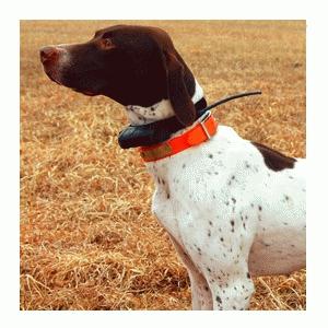 Immagine prodotto Garmin Antenna Astro 220