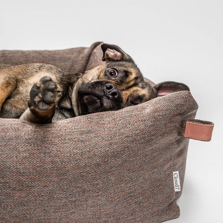 Produktbild Cloud 7 Hundebett Sleepy Deluxe (Hund)