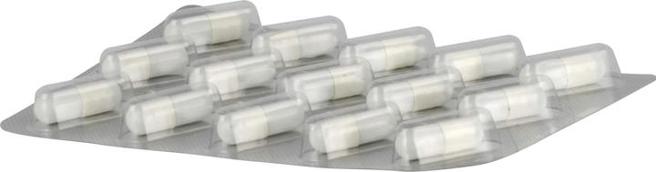 Actual product image 3-Herbs Drainage plus Capsules, 60 Capsules (60 Piece, Capsules)