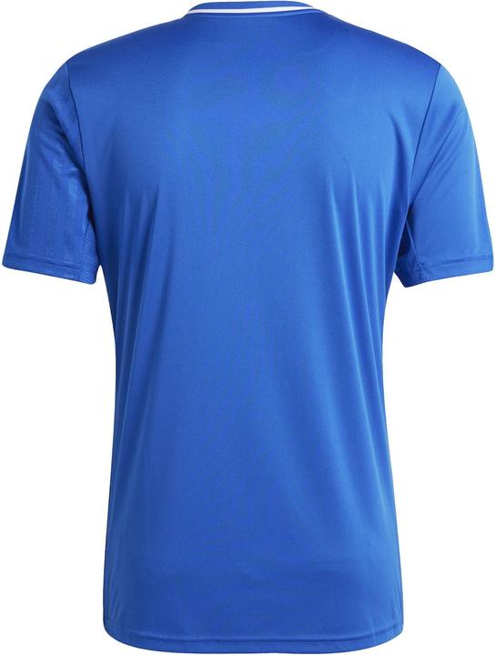 Actual product image adidas Campeon 25 jersey (XL)