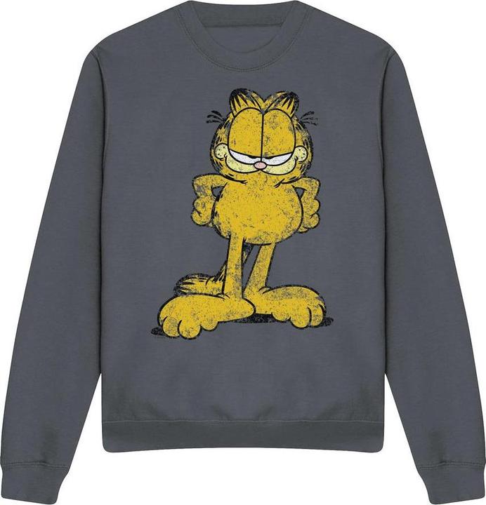 Produktbild Garfield Big Ol' Cat Sweatshirt (M)