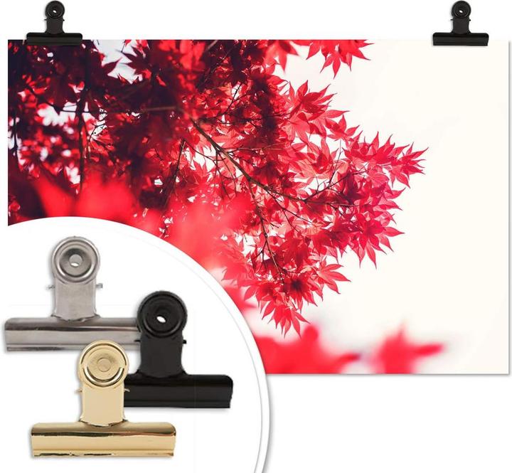 Produktbild Trenddeko Ahornbaum im Herbst (45 x 30 cm)