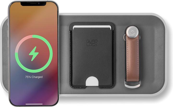 Immagine prodotto Orbitkey Nest v2 accessory case, ash (15 W)