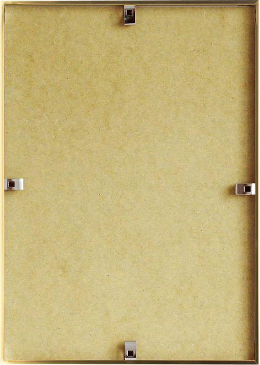 Immagine prodotto Debex Telaio in plastica a clip (50 x 70 cm)