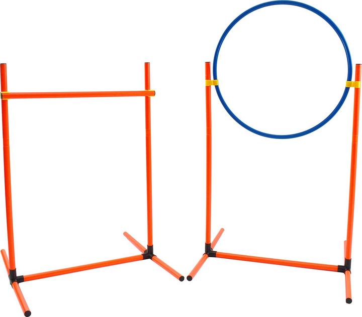 Immagine prodotto Roony Kit di allenamento per l'agilità (Destrezza)
