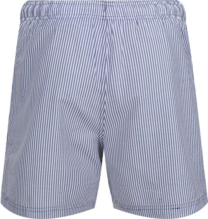 Actual product image Regatta Mens Loras Stripe Swim Shorts (XL)