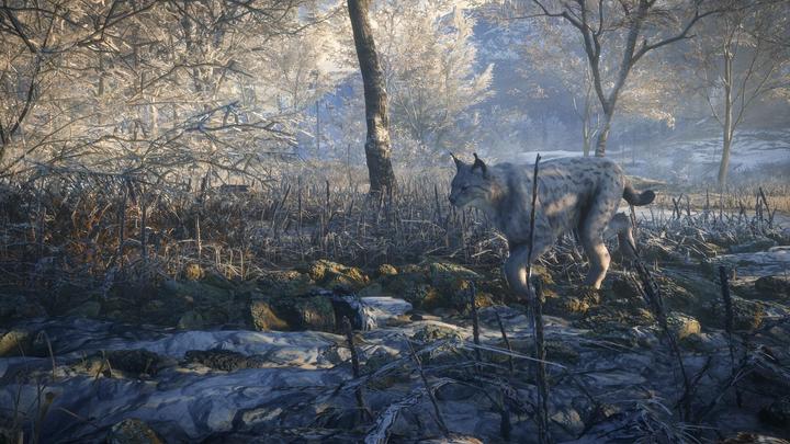 Produktbild THQ PS4 The Hunter Call of the Wild (PS4, FR, EN)