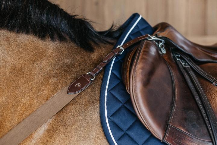 Actual product image Dy'on Elastic breastplate