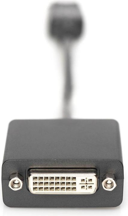 Produktbild Digitus DisplayP.Adapterk,DP/DVI 0.15m (DVI, 15 cm)
