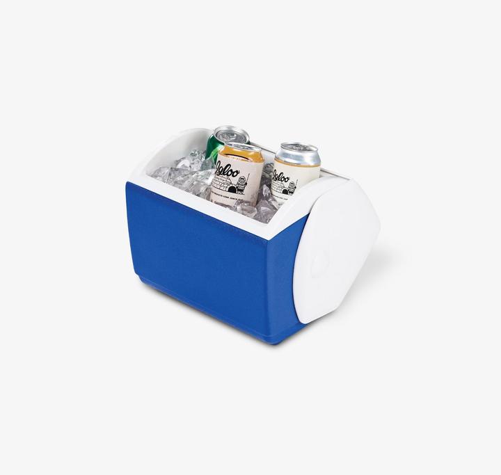 Actual product image Igloo small caregiver ice box (6 l)