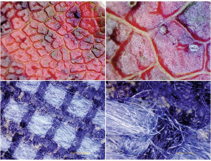 Actual product image Toolcraft Digital microscope camera DigiMicro Mobile