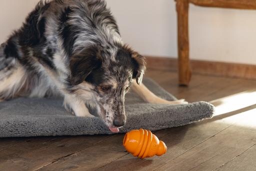 Image du produit Beeztees Sumo Play (Jouet à mâcher pour chien)