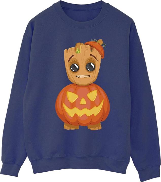 Produktbild Sweatshirt (XXL)