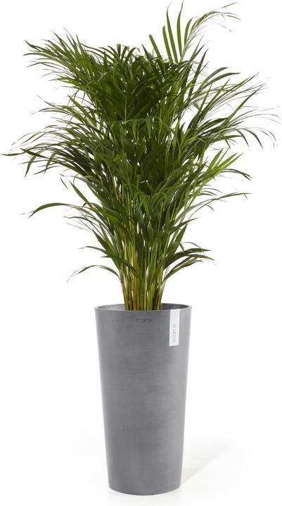 Actual product image Ecopots Amsterdam hoch (76 cm)