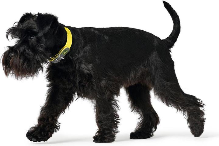 Actual product image Hunter Collar Convenience Biothane (XS, S, Dog, General)