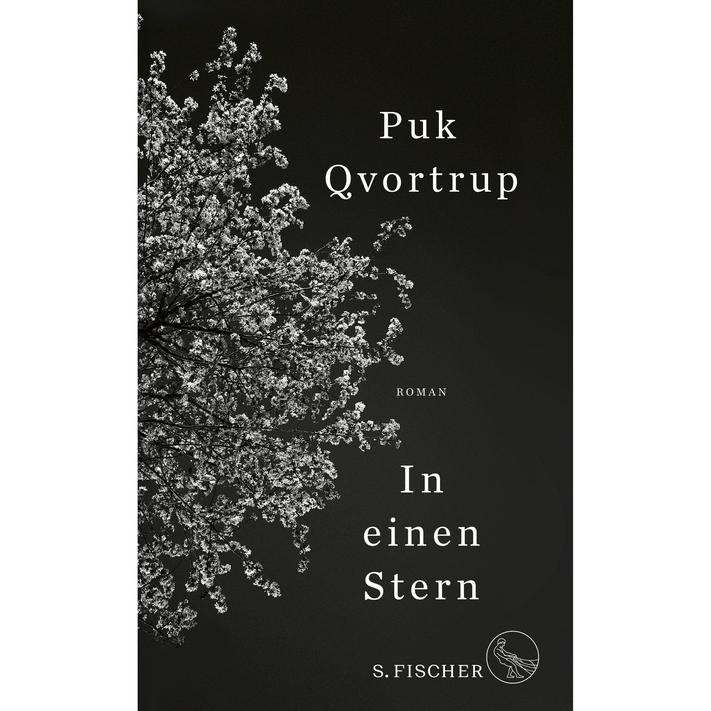 In einen Stern, Belletristik von Puk Qvortrup