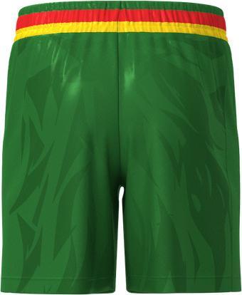 Actual product image Fourteen Cameroun Shorts Dynamic 2025/26 (L)