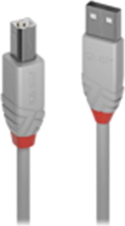 Actual product image Lindy USB/A-USB/B M-M (2 m, USB 2.0)