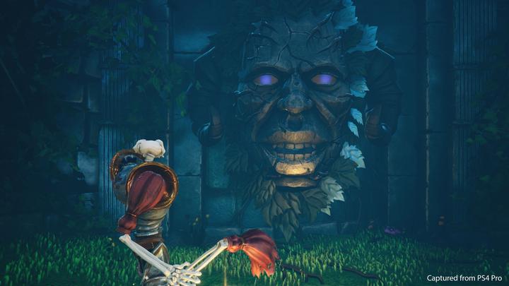 Actual product image Sony Medievil (PS4)