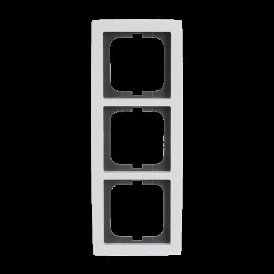 Actual product image Busch-Jaeger Frame