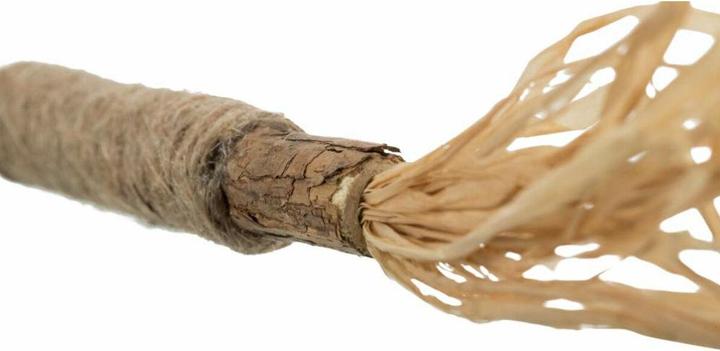 Produktbild Trixie Cavo Zug-Stopp-Halsband (M, S, Hund, Allgemein)