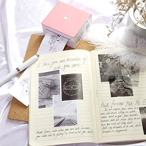 Produktbild Phomemo M02 (Thermotransfer, Farbe)