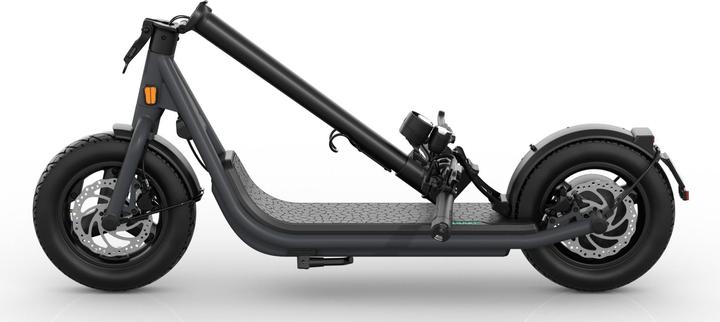 Produktbild Egret X+ (20 km/h, 60 km, 500 W)