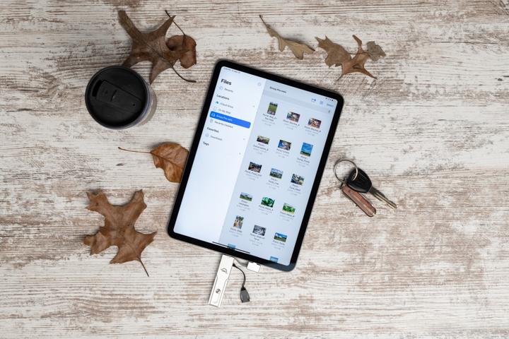 Actual product image OWC Envoy Pro mini (0.25 TB)