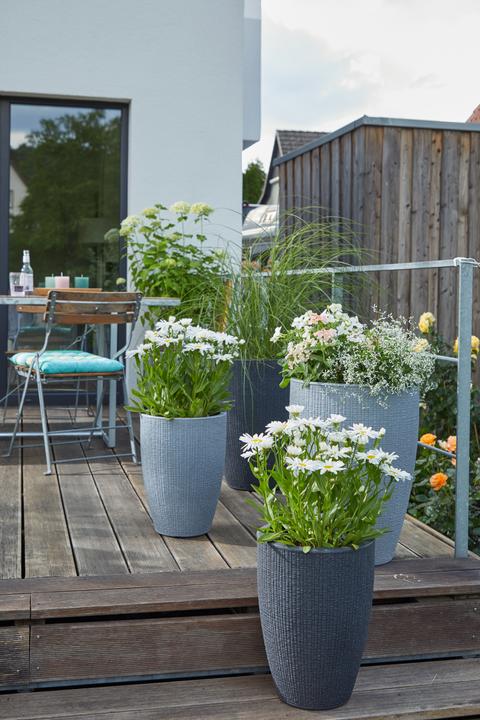 Produktbild Scheurich Barceo High (29 x 40 cm)