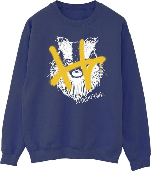 Produktbild Hufflepuff Pop Spray Sweatshirt (L)
