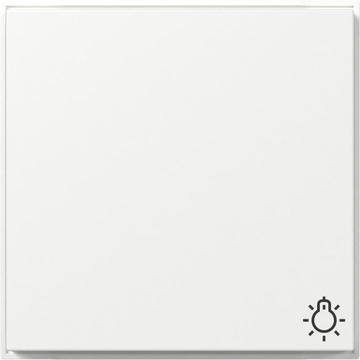 Produktbild Gira Wippe Symb. Licht