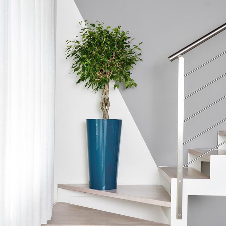 Actual product image Euro3plast Tuit (33 x 61 cm)