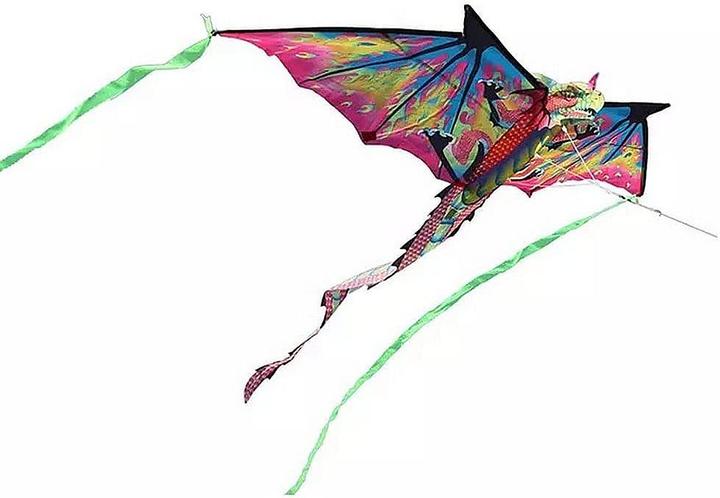 Bdt Drachen, Einleiner, Kite für Kind und Erwachsene *Phönix* inkl. 30m Leine 130x110cm