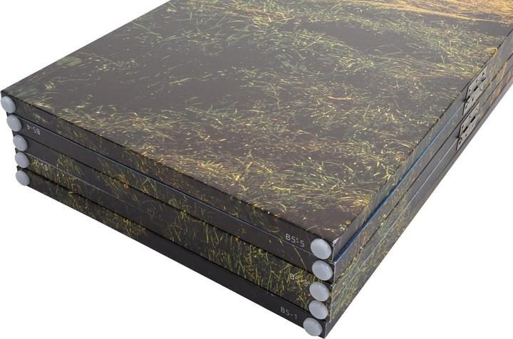 Actual product image Mendler Forest lake