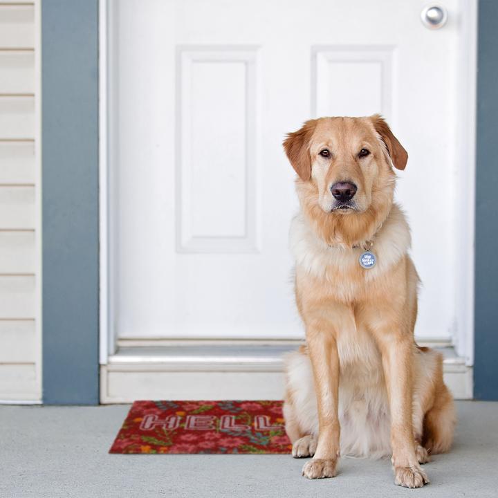 Actual product image Relaxdays Door mat (60 x 40 x 1.5 cm)